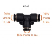 PE06 วัดไซต์